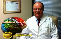 Dr. Levinson has proved the cerebellum is the key to ADHD, dyslexia and a multitude of other disorders.